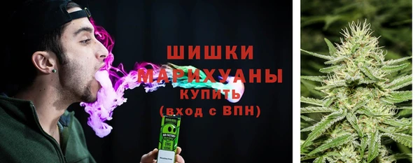 стаф Баксан