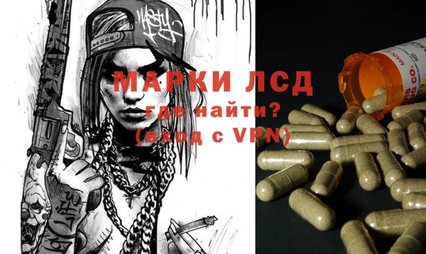 индика Балахна