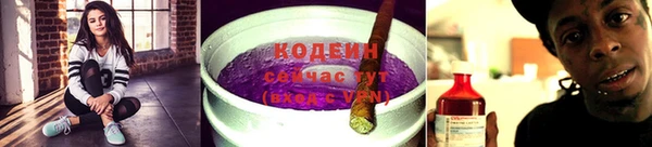 индика Балахна