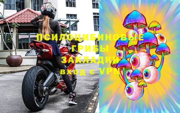 стаф Баксан