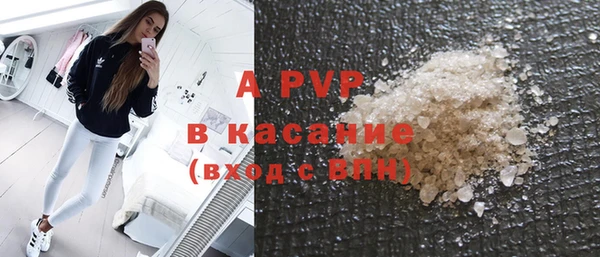 индика Балахна