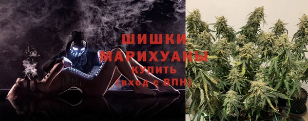 гидропоника Белокуриха