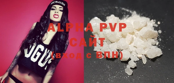 индика Балахна