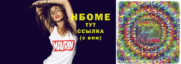 индика Балахна